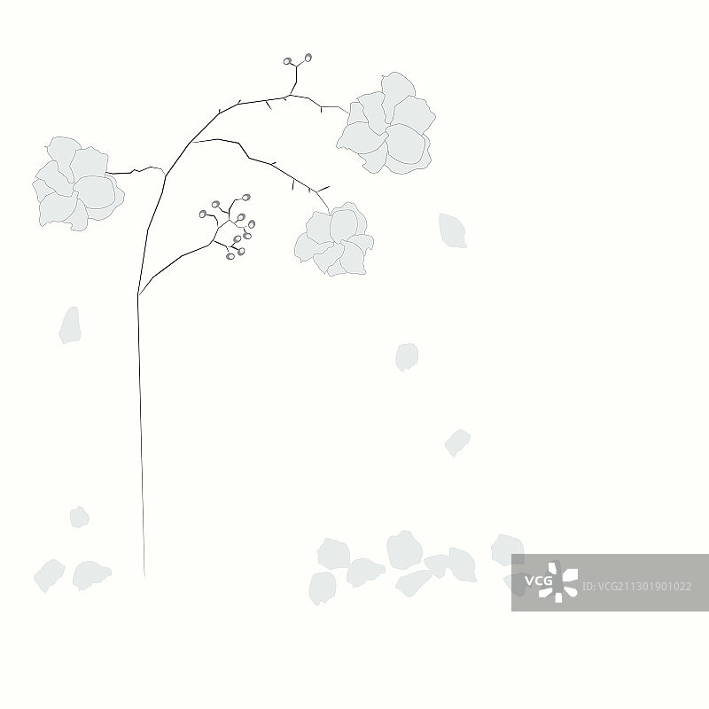 柔和色调的落花图片素材