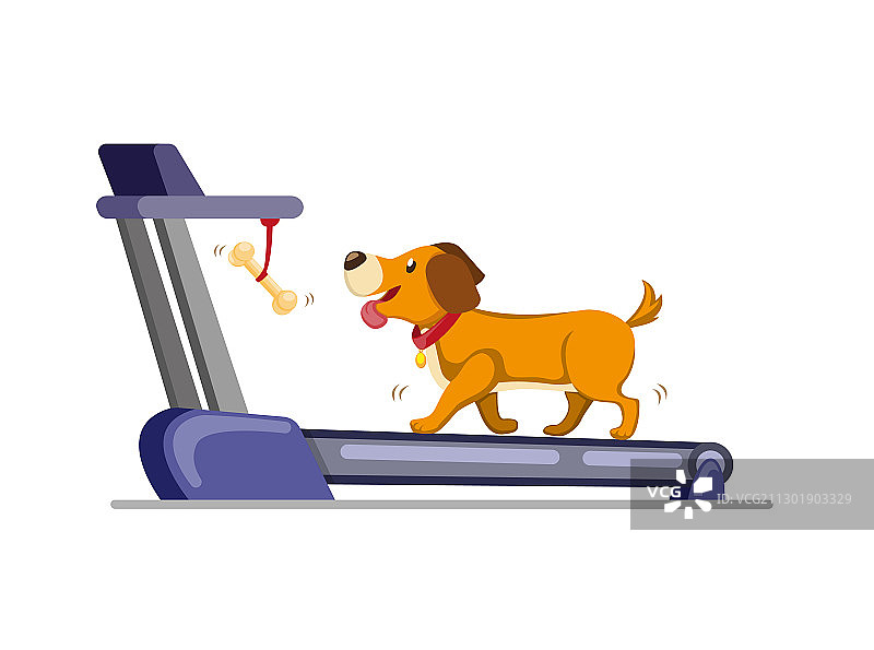 在跑步机上跑步以获取骨头训练的狗图片素材