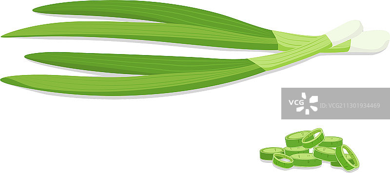 切碎的新鲜绿色葱图片素材