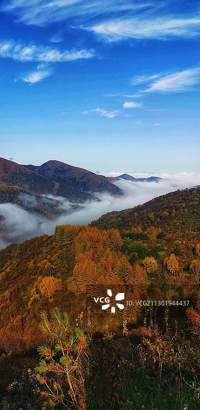 六盘山云海图片素材