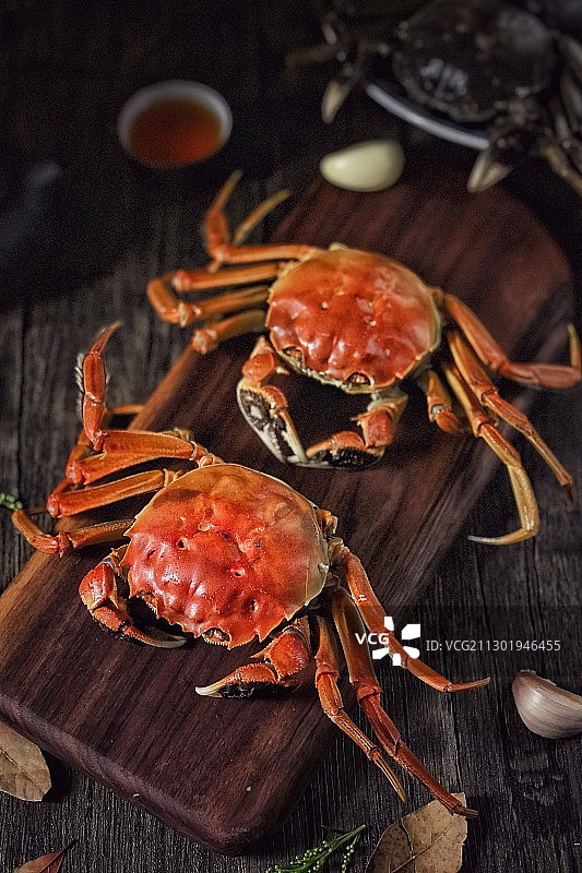 大闸蟹图片素材