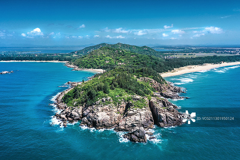 大花角图片素材