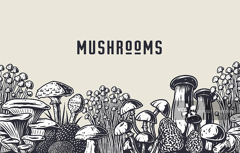 秋季森林采蘑菇纯素菜单图案图片素材