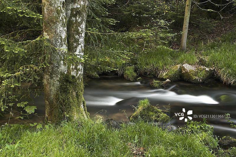 德国巴登-符腾堡州北部黑森林埃亚赫山谷的流水景观图片素材