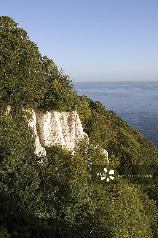 德国梅克伦堡-西波美拉尼亚吕根岛白垩海岸国王椅的白垩悬崖图片素材