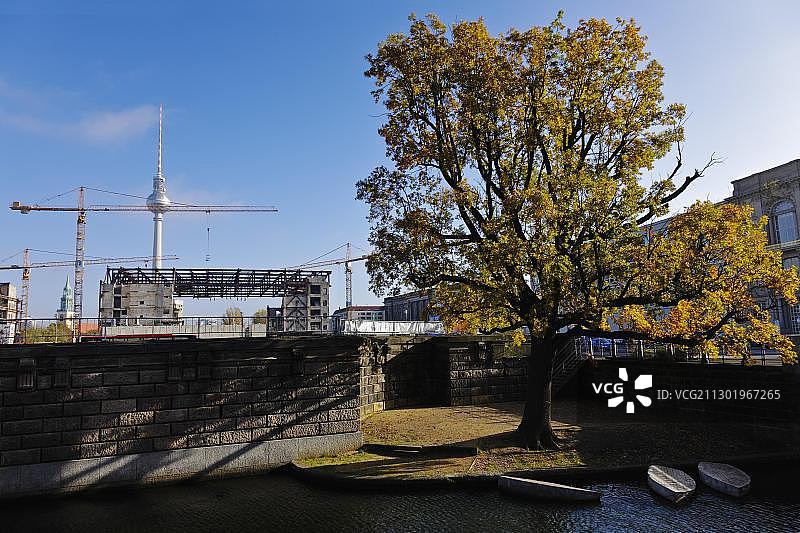 德国柏林共和国宫前的运河边的树图片素材