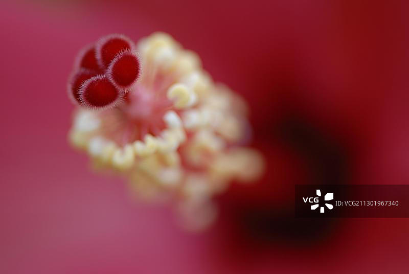 彭布罗克郡海岸国家公园图片素材