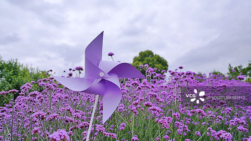 风车与花图片素材