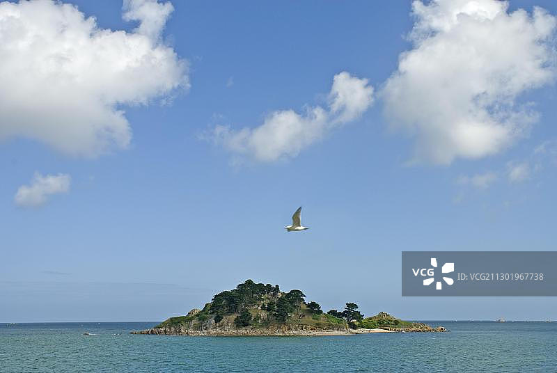 莫尔莱湾的斯特雷克岛，法国布列塔尼图片素材