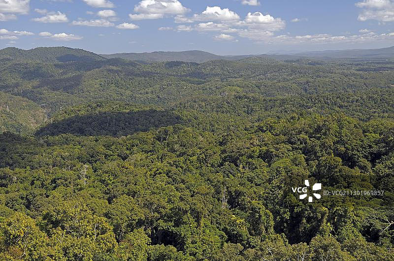 澳大利亚昆士兰州北部原始雨林景色图片素材