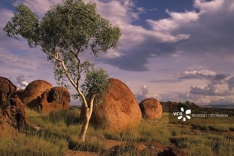 澳大利亚北部地区的魔鬼岩图片素材