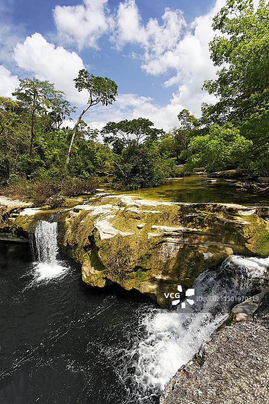 河流、小瀑布、原始森林、岩石，蓬塔戈尔达，伯利兹，中美洲，加勒比海图片素材