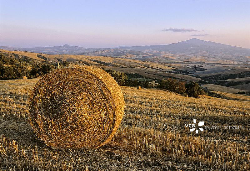 日落时分锡耶纳省蒙蒂基耶洛附近的瓦尔德奥尔恰,拉迪科法尼和阿米亚塔山前的收割小麦田景观中的一捆稻草,意大利托斯卡纳图片素材
