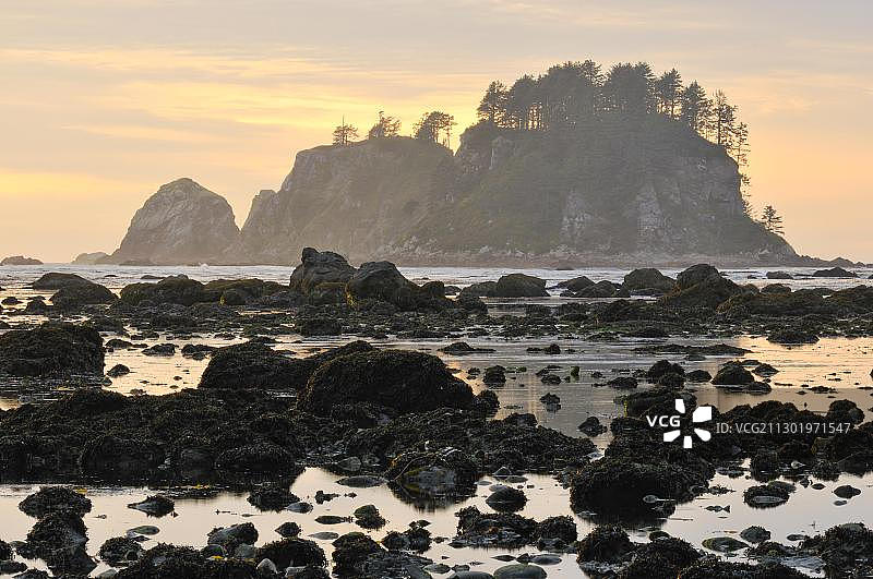 美国华盛顿州奥林匹克国家公园沙点海岸日落图片素材