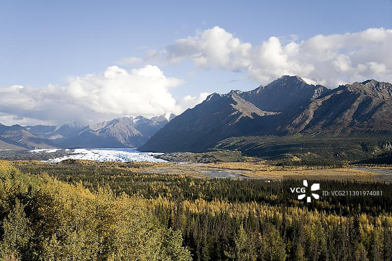 马塔努斯卡冰川，秋日森林，楚加奇山脉，阿拉斯加州，美国，北美洲图片素材