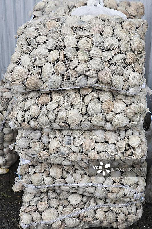 智利湖大区蒙特港鱼市场上的贻贝图片素材