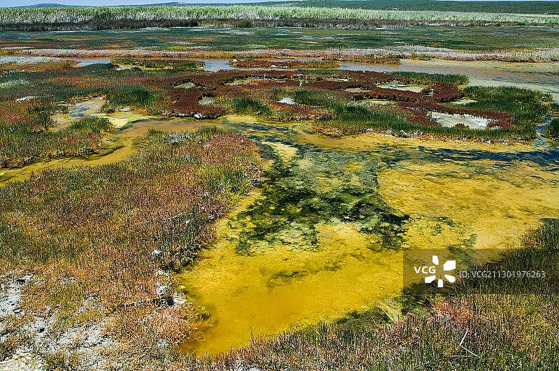 南非西海岸国家公园赫尔贝克游客中心的萨尔达尼亚湾图片素材