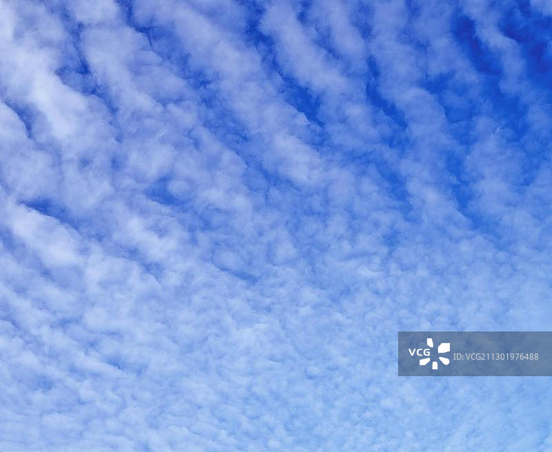 蓝天中的高积云图片素材