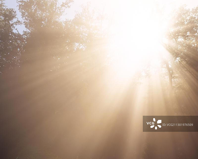 阳光逆光图片素材