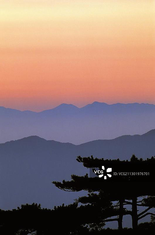 中国安徽黄山“始信峰”的日出图片素材