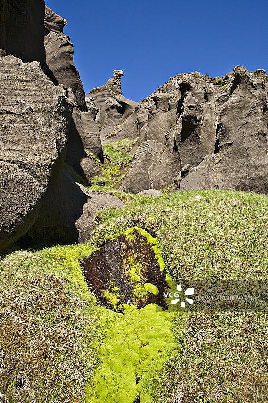 冰岛斯奈山半岛的柳树藓和奇特岩层图片素材