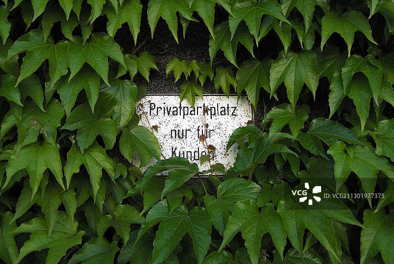 长满植物的私人停车位标志图片素材