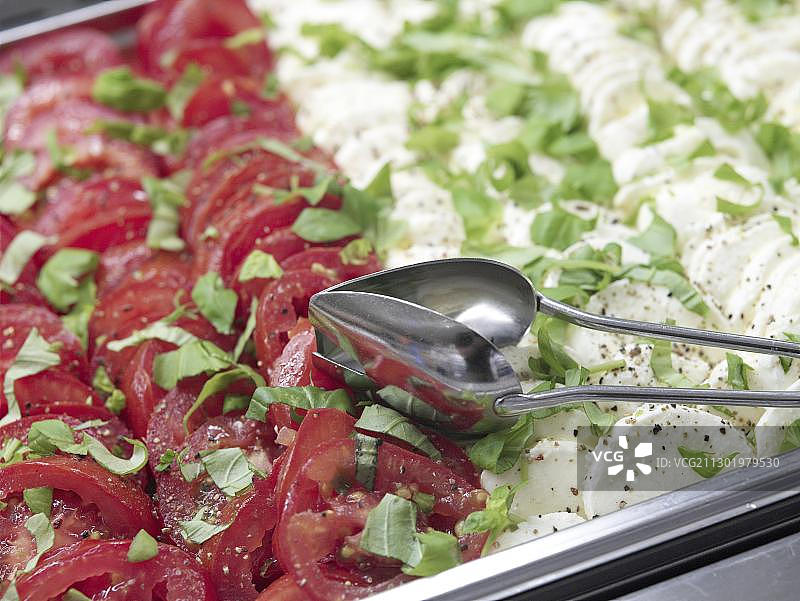 番茄和马苏里拉奶酪图片素材