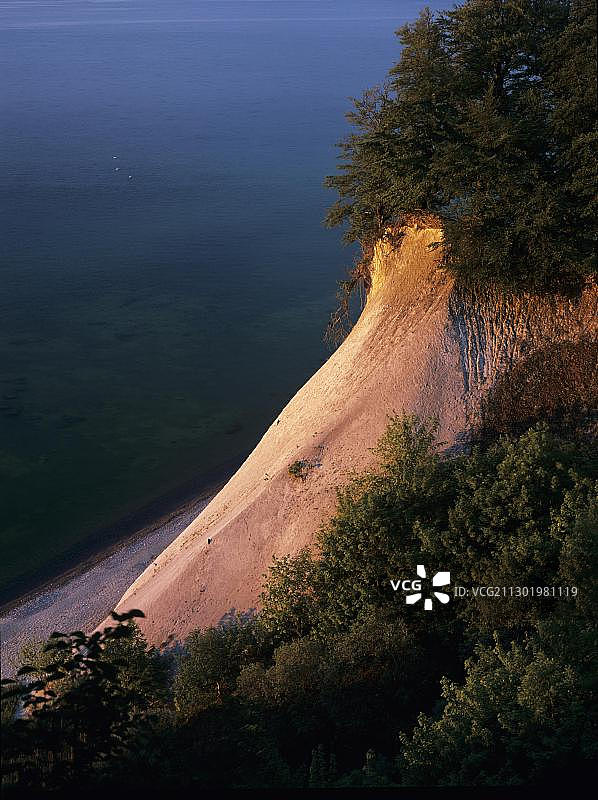 德国亚斯蒙德国家公园吕根岛海边松树与白色悬崖图片素材