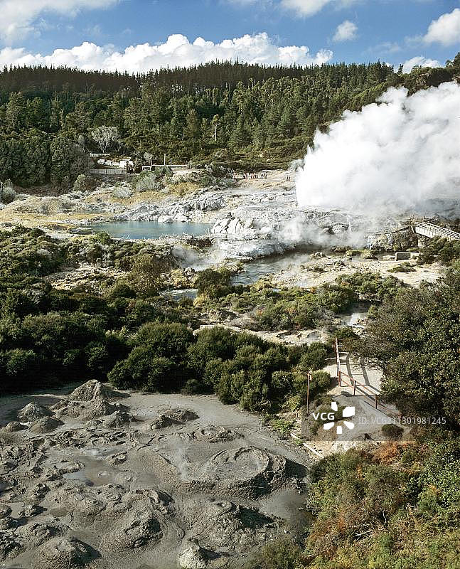 波胡图间歇泉，瓦卡雷瓦雷瓦地热区，罗托鲁瓦，北岛，新西兰，大洋洲图片素材