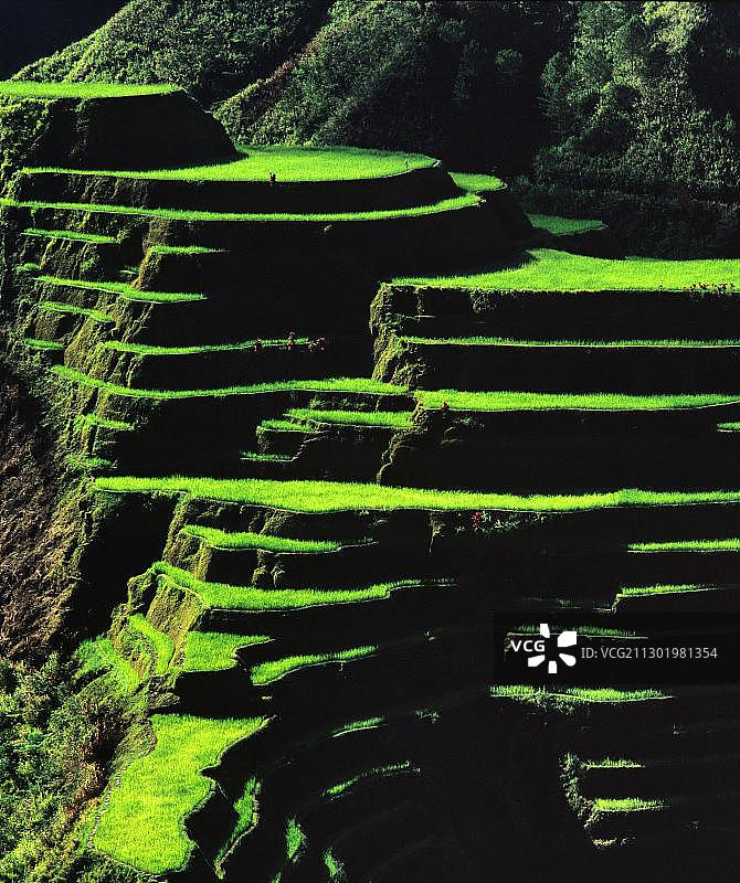 菲律宾吕宋岛伊富高省巴纳韦梯田图片素材