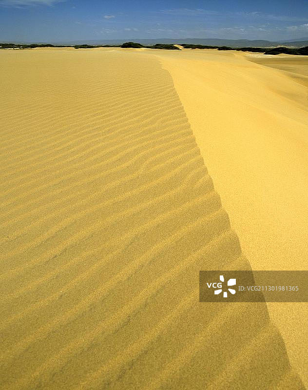 委内瑞拉法尔孔科罗附近的沙丘，南美洲图片素材