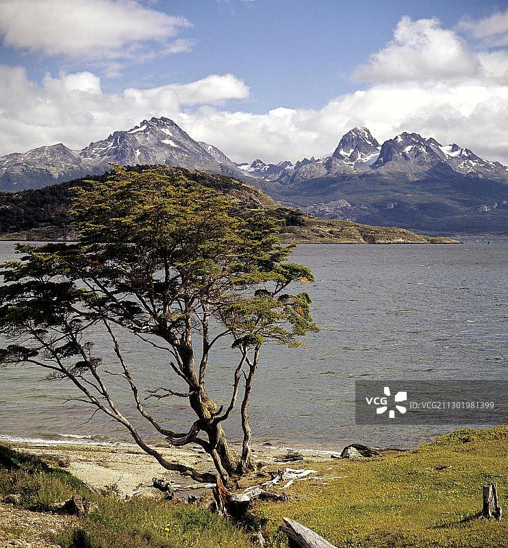 乌斯怀亚阿根廷最南端比格尔海峡火地岛国家公园图片素材