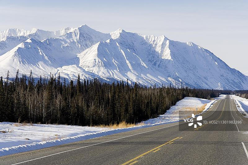 阿拉斯加海恩斯路口以南的公路、圣埃利亚斯山脉、云杉树、育空地区、加拿大、北美图片素材
