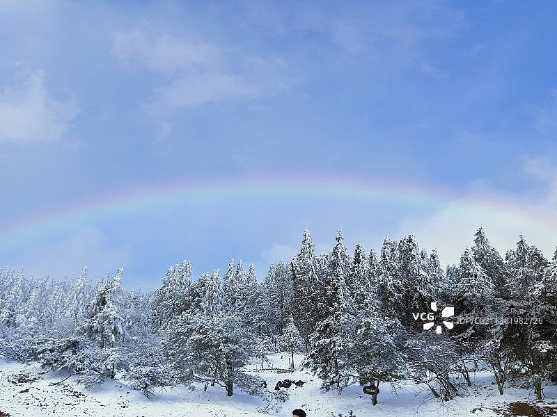 最好的你什么时候来图片素材