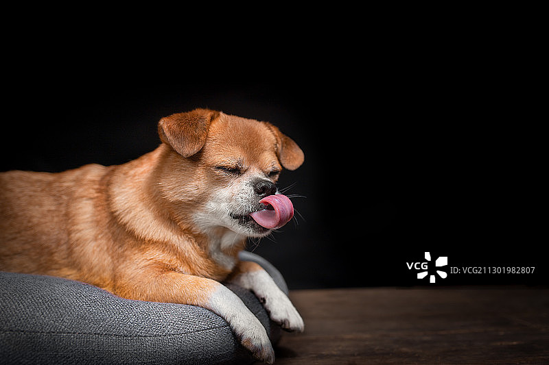 略略略略略图片素材