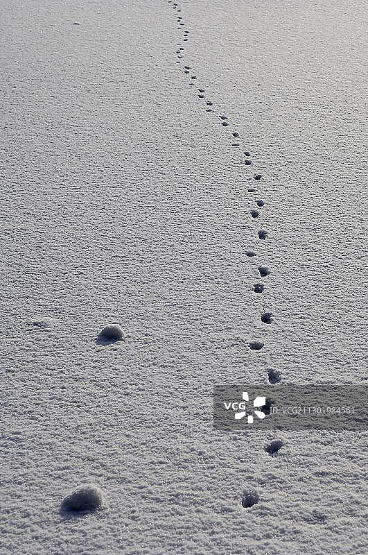 雪地里的轨道图片素材