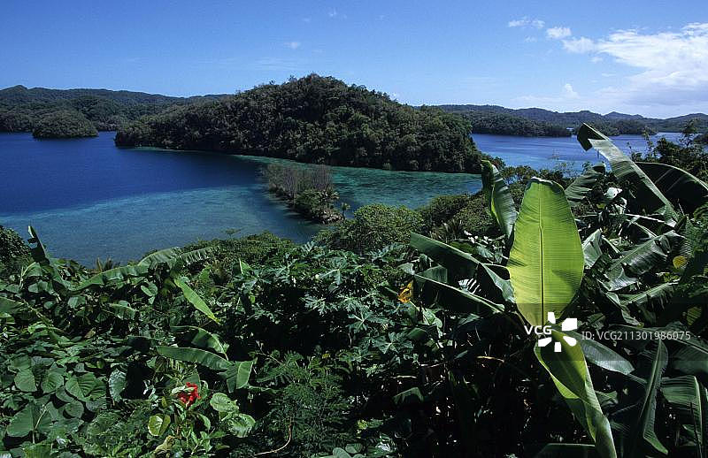 帕劳，密克罗尼西亚，大洋洲的热带植被岩石岛图片素材