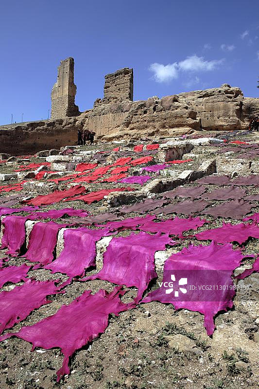 在非洲摩洛哥非斯El Kolla山上晒干的皮革图片素材