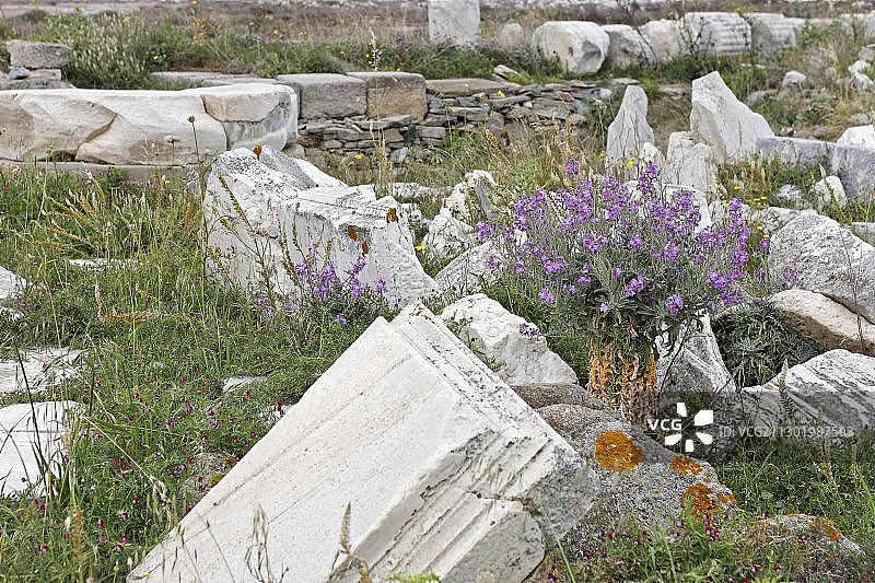希腊提洛斯春季遗址和鲜花图片素材