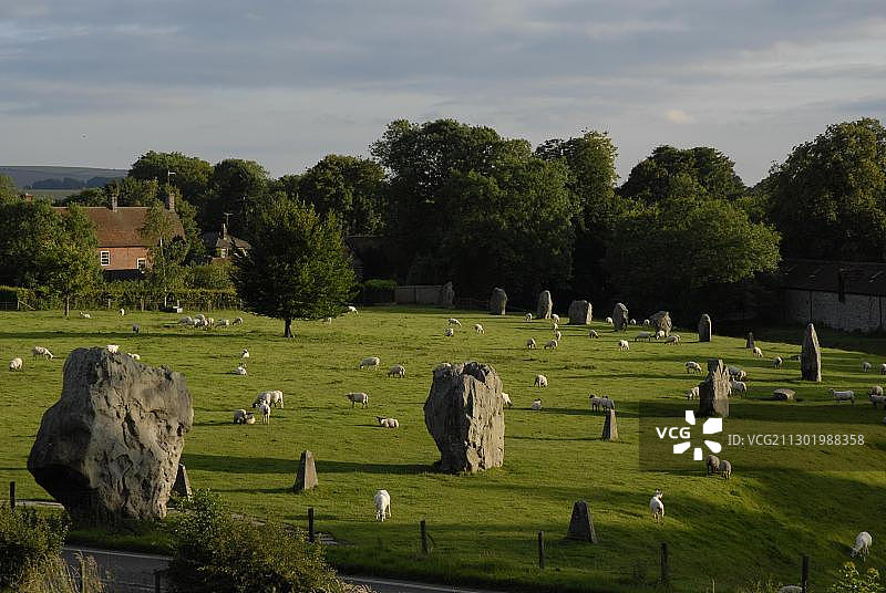 巨石圈与绵羊，英国威尔特郡埃夫伯里图片素材