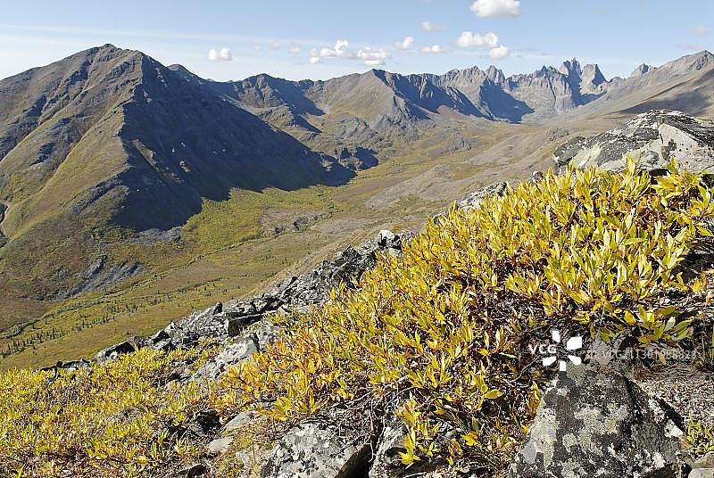 墓碑领地公园，邓普斯特公路，加拿大育空地区，北美洲图片素材