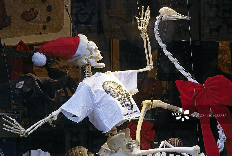 纽约市哥伦布大道中心公园西路世界首家骨骼商店的圣诞橱窗装饰图片素材