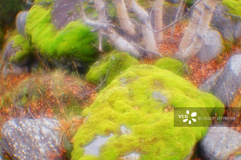 俄罗斯摩尔曼斯克州的希比内山脉风光图片素材