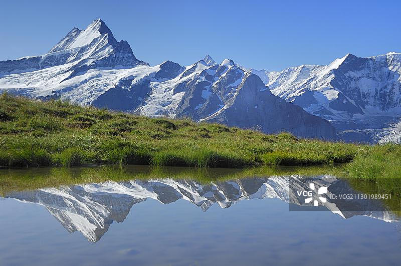 瑞士伯尔尼高地Grindelwald附近的Bachalpsee湖中Schreckhorn峰的倒影图片素材