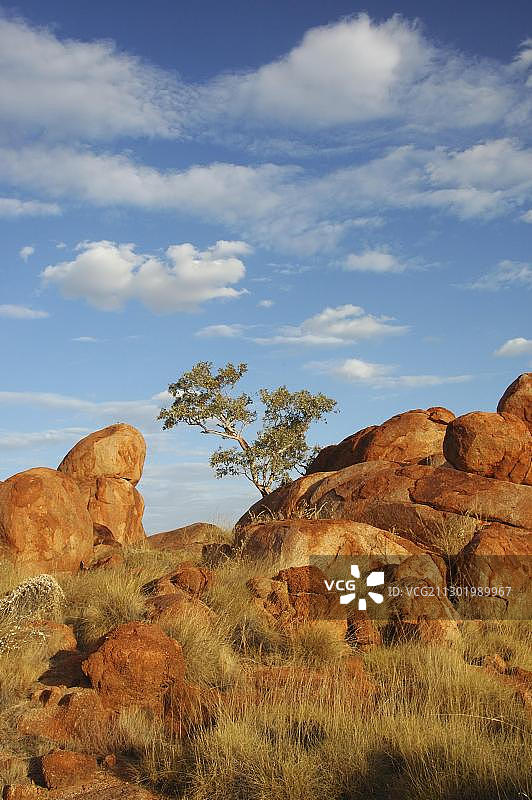 澳大利亚北领地魔鬼大理石图片素材