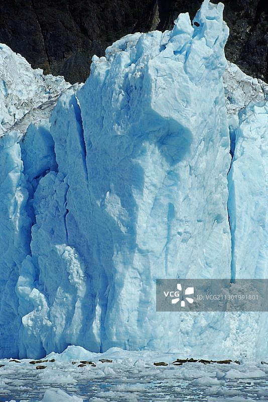 切尼加冰川流入大海，海豹在浮冰上打盹，威廉王子湾，阿拉斯加，美国，北美图片素材