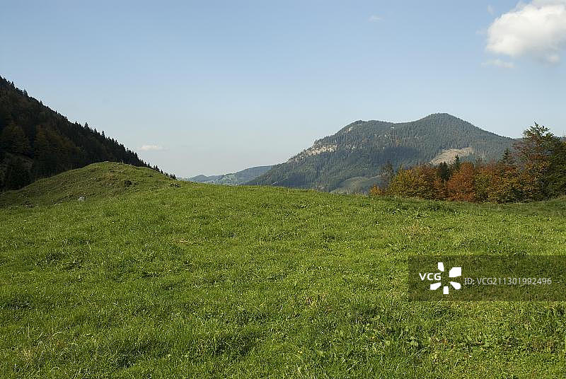 空的草地表面，席尔湖，巴伐利亚，德国，欧洲图片素材