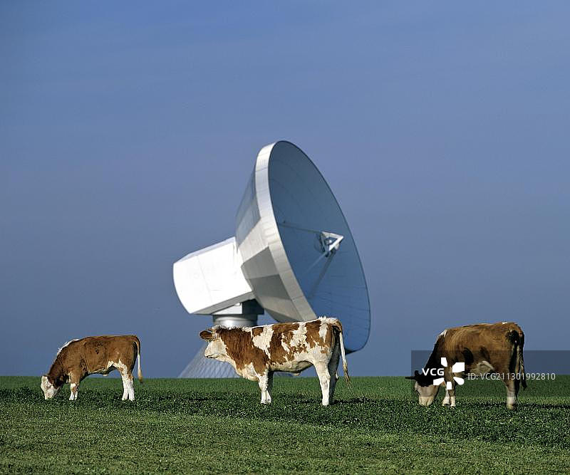 拉伊斯廷卫星地球站天线，巴伐利亚州上巴伐利亚的牧场、农业和科技图片素材