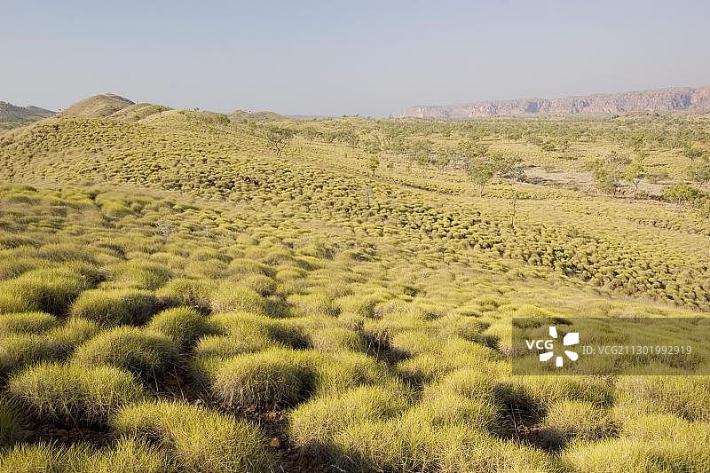 澳大利亚金伯利，邦格尔邦格尔山脉图片素材
