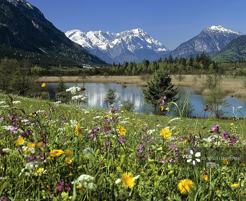 春季草甸山景，七泉，荒地，埃申洛厄附近，洛伊萨赫山谷，米尔巴赫，上巴伐利亚，巴伐利亚，德国，欧洲图片素材